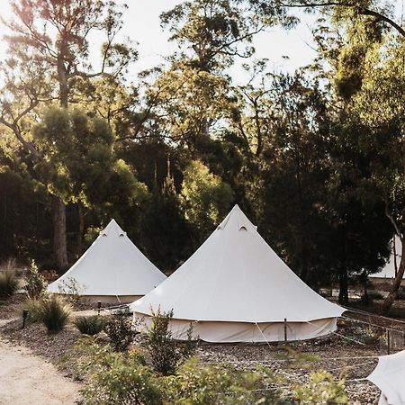 Bed and Breakfast Bay Of Fires Bush Retreat Binalong Bay Esterno foto