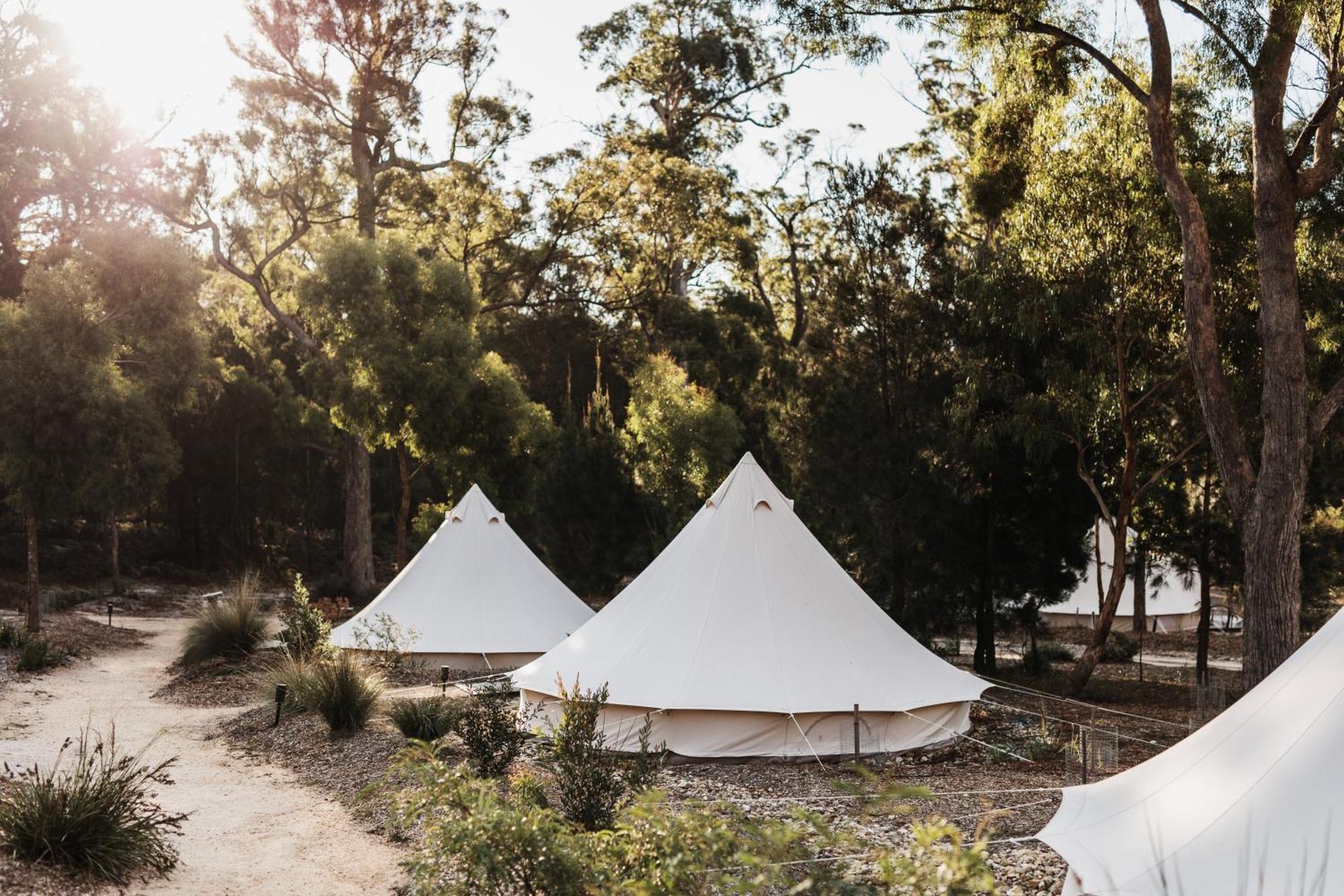 Bed and Breakfast Bay Of Fires Bush Retreat Binalong Bay Esterno foto