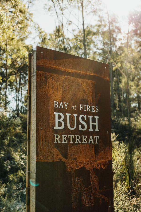 Bed and Breakfast Bay Of Fires Bush Retreat Binalong Bay Esterno foto