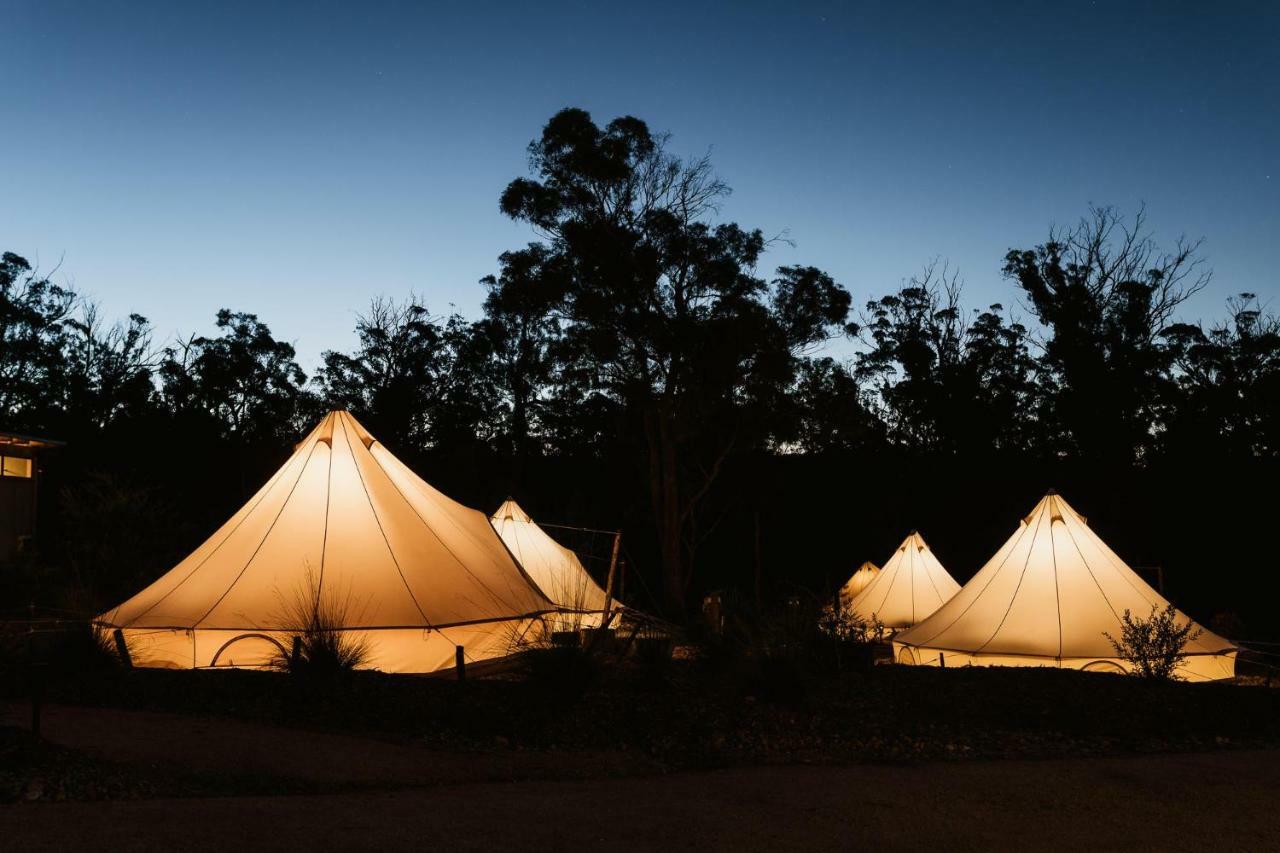 Bed and Breakfast Bay Of Fires Bush Retreat Binalong Bay Esterno foto